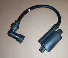 Ignition coil bobina usato  Dipignano