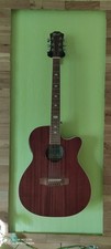 Elektro akustikgitarre lindo gebraucht kaufen  Iserlohn