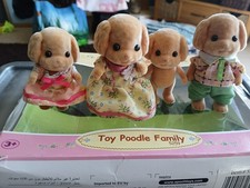 toy poodle for sale  MELTON MOWBRAY