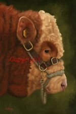 Simmental bull farm for sale  LARNE