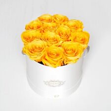 Eternal petals 100 for sale  LONDON