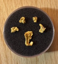 Pépites australie 24k d'occasion  Angers-