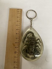 Portachiave scorpione vintage usato  Casalecchio di Reno