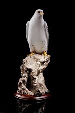 Gyr falcon bird for sale  SHEERNESS