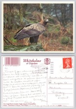 C28479 golden eagle for sale  LONDON