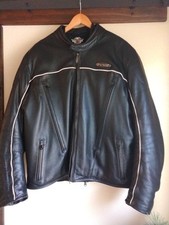 Harley davidson men for sale  Hayden