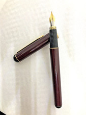 Fountain pen vintage usato  Castellabate