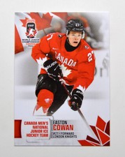 2025 cards iihf usato  Spedire a Italy