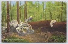 Linen modern logging for sale  Newton