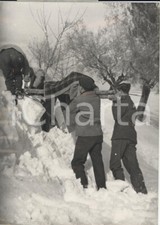 1956 laturo contadini usato  Milano