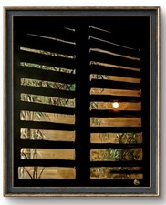 Quadro dipinto olio usato  Barrafranca
