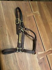 Walsh english halter for sale  Chandler