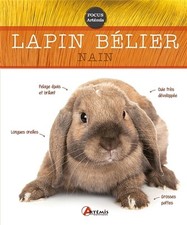 Lapin belier nain d'occasion  France