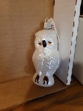 Twelve snowy owl for sale  Gainesville