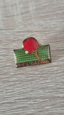 Pin tennis table d'occasion  Plomelin