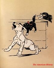 3268 Aldin, Cecil (1870-1935) - El Cachorro Blanco 1909 - Atacado Por Los Gatos comprar usado  Enviando para Brazil