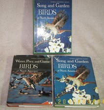 Song garden birds for sale  Visalia