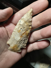 Authentic illinois fossil for sale  Bartlesville