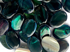 abalone shell pieces for sale abalone shell pieces for sale Jamestown