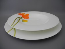 Villeroy boch speiseteller gebraucht kaufen  Hamburg