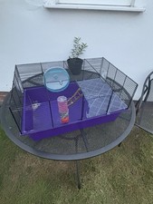 Hamster cage for sale  WORCESTER