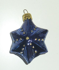 Christborn stern blau gebraucht kaufen  Renningen