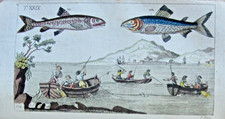 1812 book fishes d'occasion  Expédié en Belgium