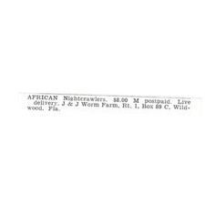 Worm farm african for sale  Hinckley