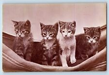 Animals postcard cute for sale  Terre Haute