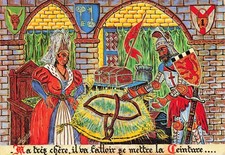 Poitiers ceinture chastete d'occasion  France