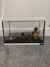 Fun fish tank for sale  BUCKLEY