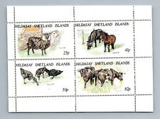 Hildasay shetland islands d'occasion  Expédié en Belgium