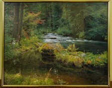 Early autumn serene for sale  Pittsburgh