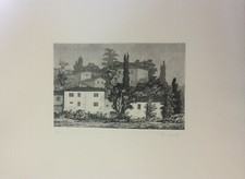Vairo mongatti paesaggio usato  Livorno
