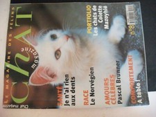Chat magazine chat d'occasion  Divion