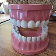 Usado, Modelo odontológico vintage dentes grandes higiene dental tipodont dobradiça articulada mandíbula comprar usado  Enviando para Brazil