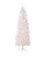 National tree company for sale  Pacolet