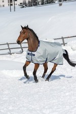 Bucas power turnout gebraucht kaufen Bucas power turnout gebraucht kaufen  Senden