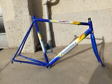 Telaio bici corsa usato  Nichelino