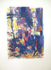 Antonio corpora serigrafia usato  Vitorchiano