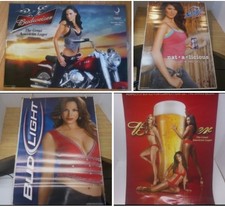Lot beer poster for sale  Romney