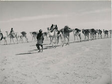 Sahara 1950 tamanrasset d'occasion  Expédié en Belgium