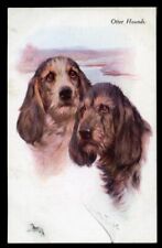 Otterhound dog original for sale  UK