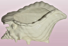 shell dish retro conch for sale shell dish retro conch for sale Hardyville