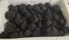 trufas comprar usado trufas comprar usado Enviando para Brazil