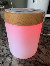 Luvlink friendship lamp for sale Luvlink friendship lamp for sale  North Providence