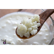 Kefir mleczny, bulwy kefiru, grzyb tybetański, kefir, grzyb kefir na sprzedaż  Wysyłka do Poland
