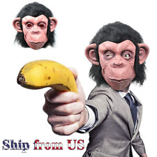 Ape monkey gorilla for sale  Brisbane