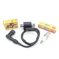 Ignition coil spark d'occasion  Expédié en Belgium