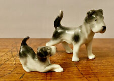 Chien fox terrier d'occasion  Vannes